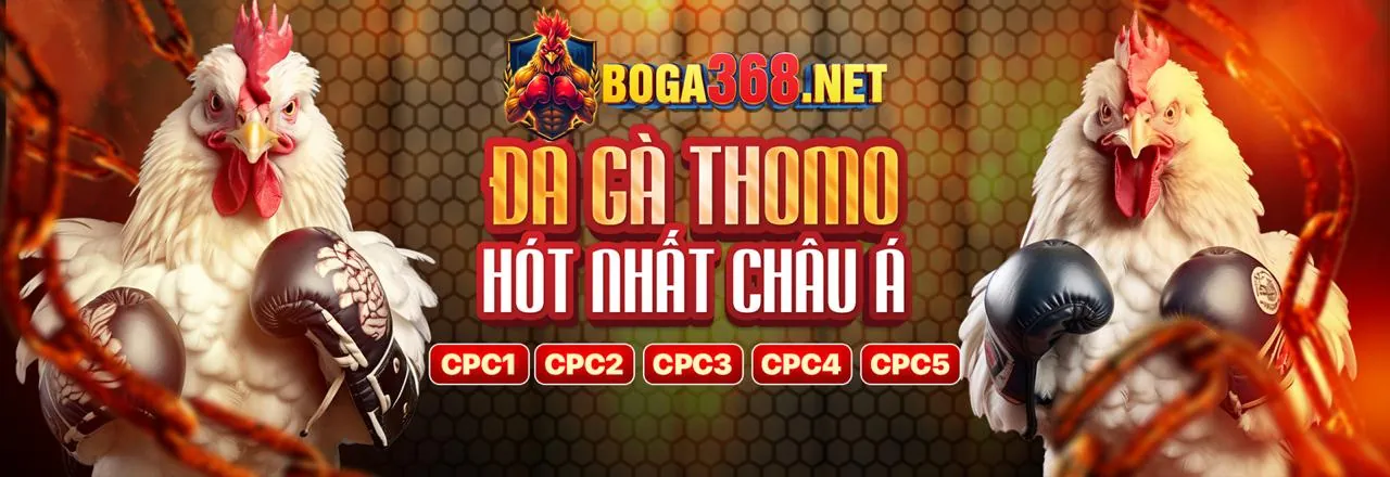 Đá Gà Trực Tuyến x88 khuyến mãi
